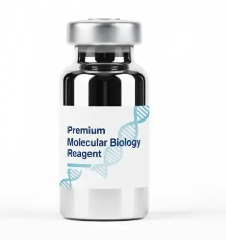 Recombinant Human Sulfotransferase Family, Cytosolic 1C, Member 4