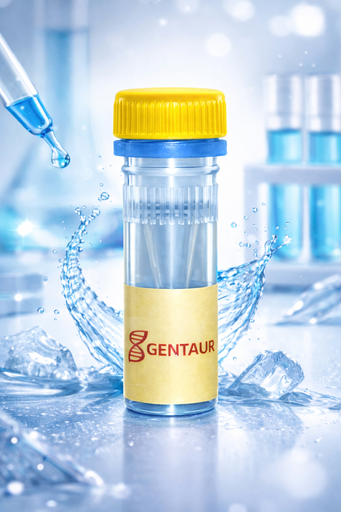 [SK1644] Sarcosine Oxidase